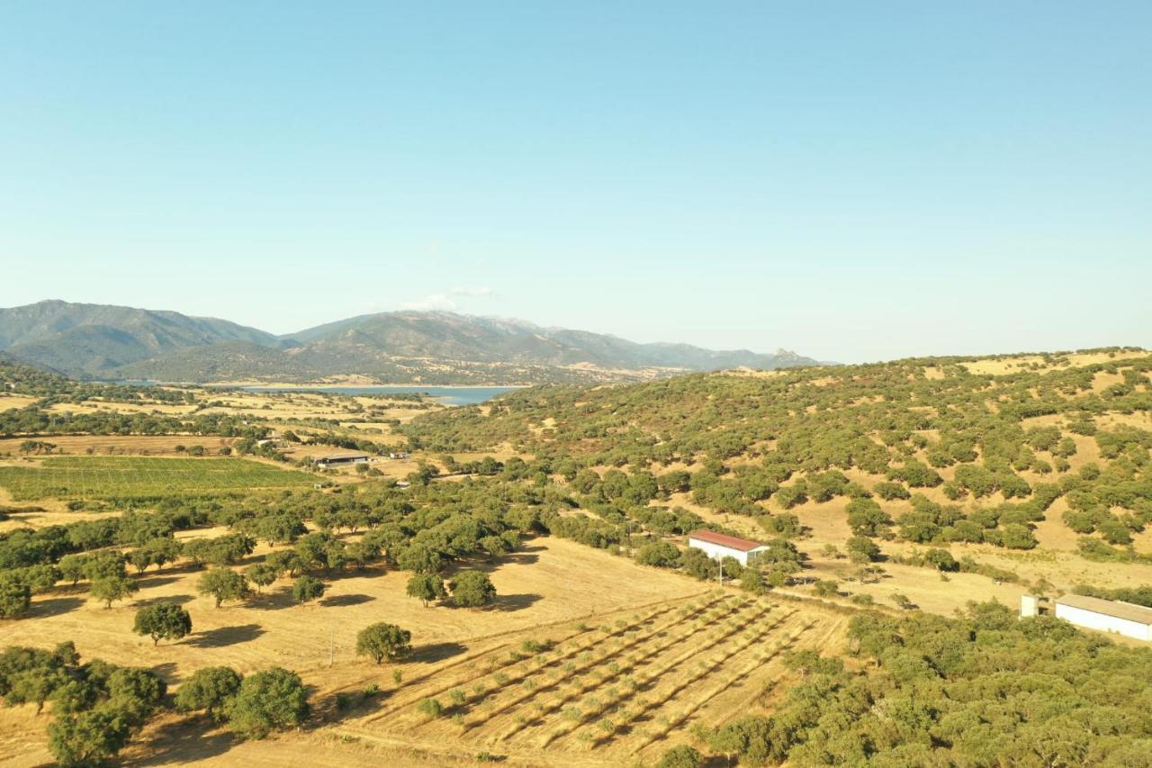 Agriturismo Pedru Caddu Villa Tula Dış mekan fotoğraf