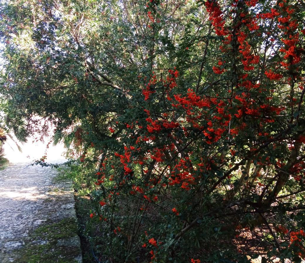 Agriturismo Pedru Caddu Villa Tula Dış mekan fotoğraf