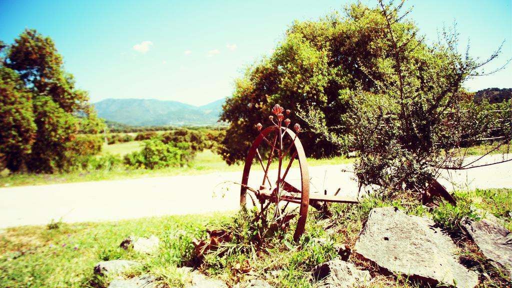 Agriturismo Pedru Caddu Villa Tula Dış mekan fotoğraf