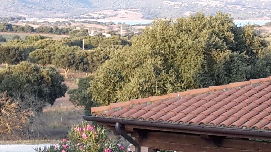 Agriturismo Pedru Caddu Villa Tula Dış mekan fotoğraf